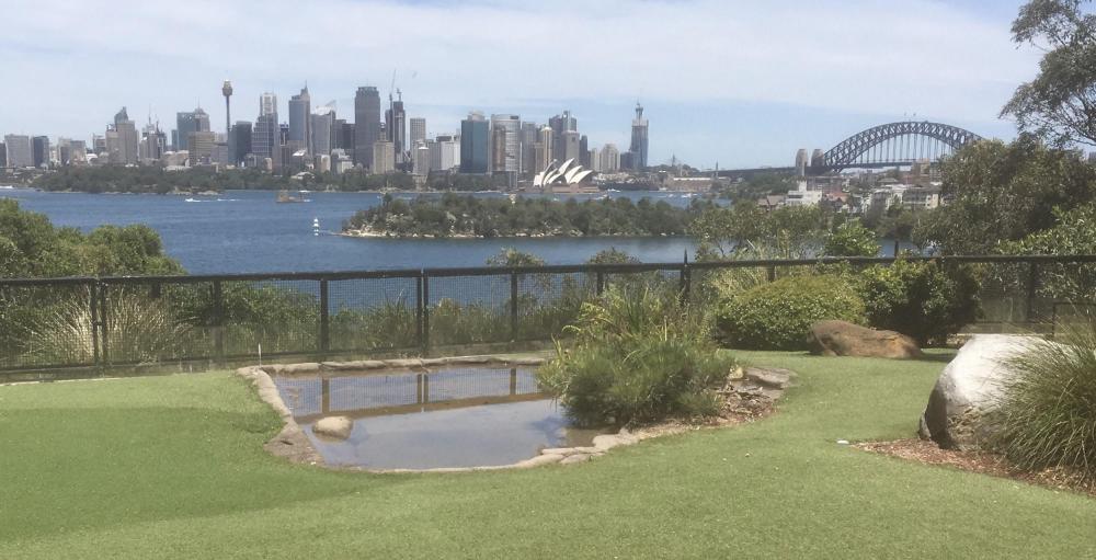 Taronga-eläintarhan lintuareena