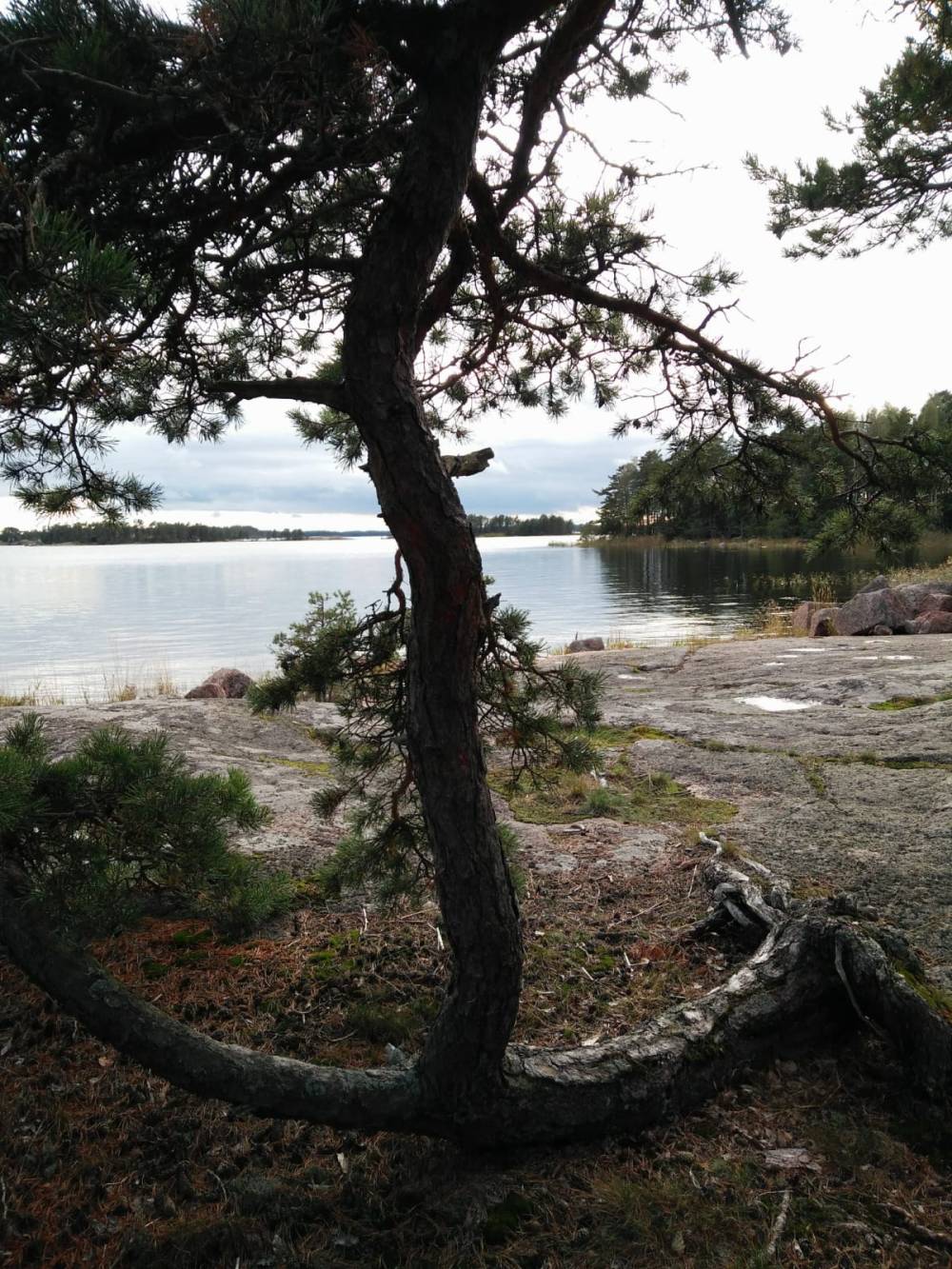 1. IMG-20200517-WA0000