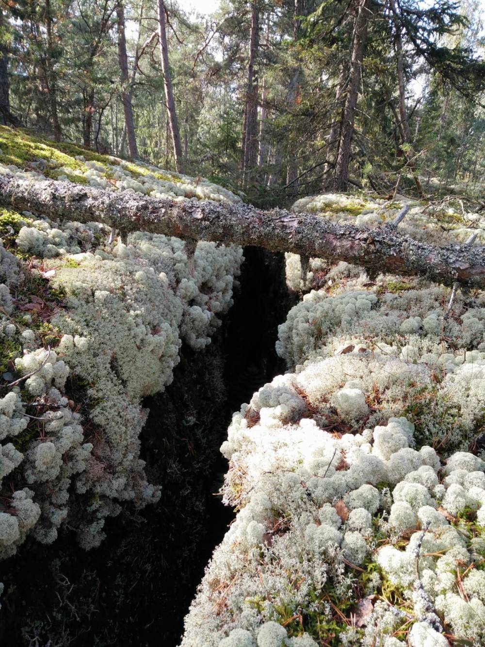 2. IMG-20200517-WA0001