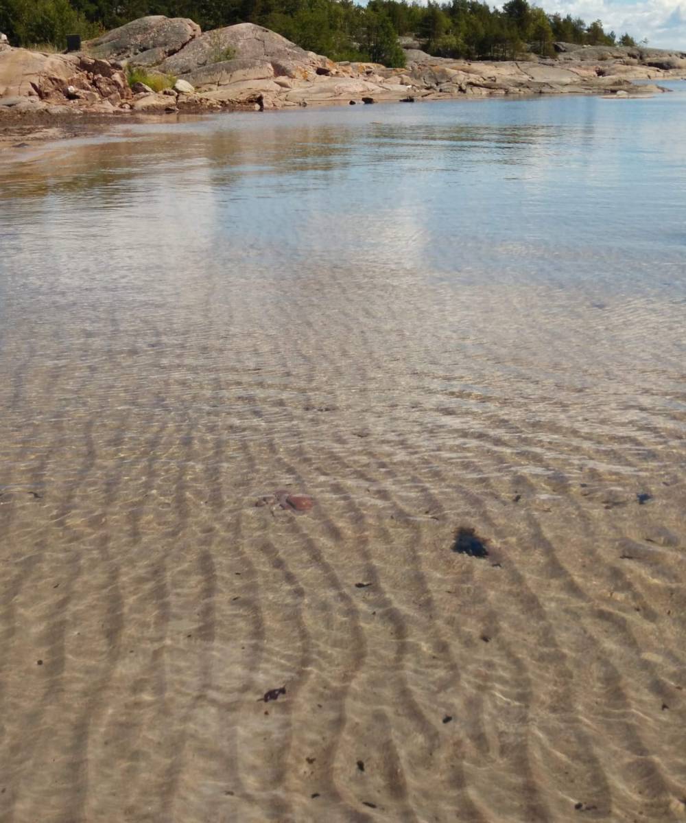 7. IMG-20200517-WA0007