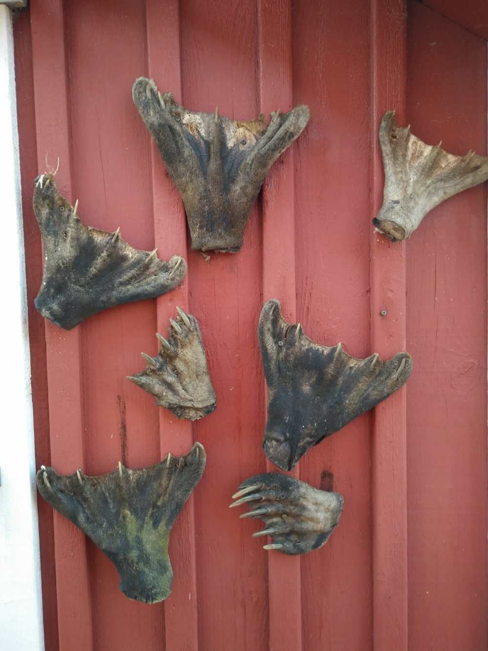 9. IMG-20200517-WA0006